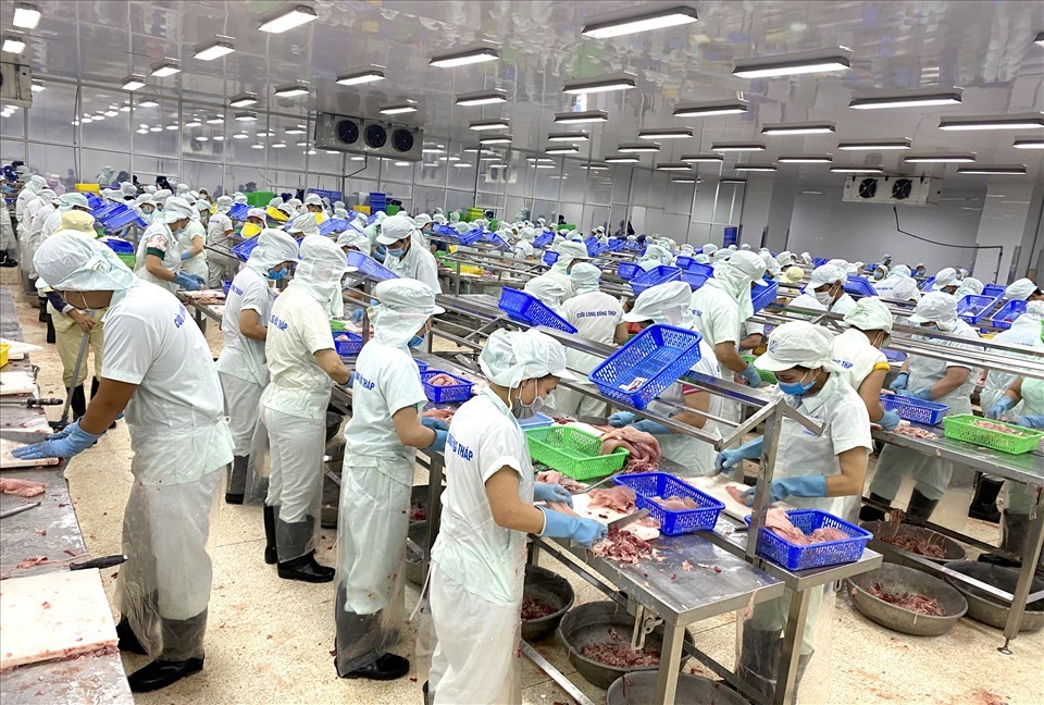 What is occupational hygiene? Legal regulations on labor hygiene?