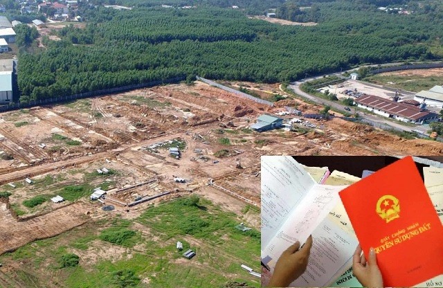Will land that has no heirs be confiscated?
