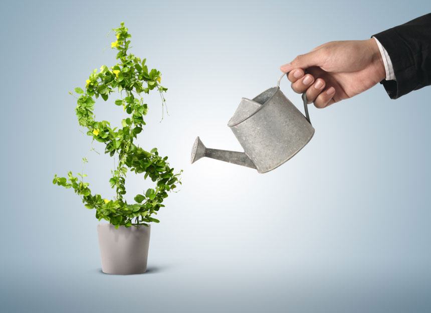 Entities eligible for investment incentives