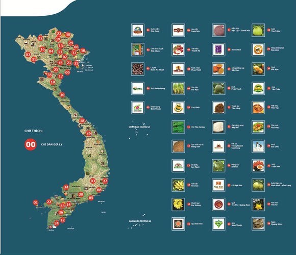 What is a homonymous geographical indication?